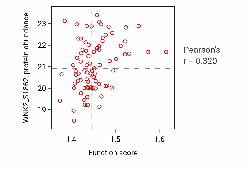 Per-sample scatter of ATP synthesis coupled electron transport activity vs WNK2_S1862 in LSCC.