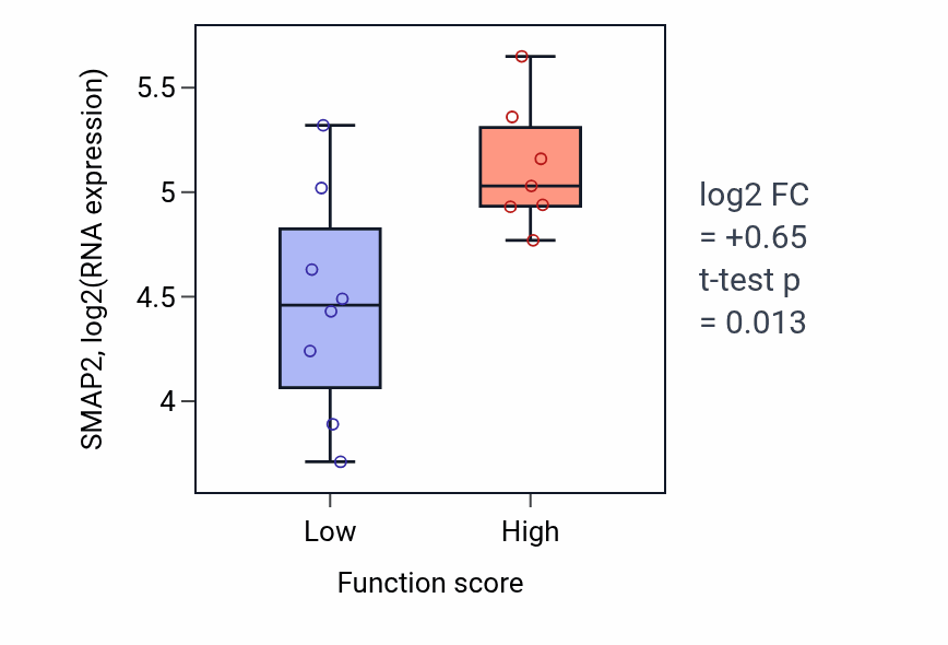 Box plot of SMAP2 in Positive regulation of macrophage activation-low vs -high samples in BONE.
