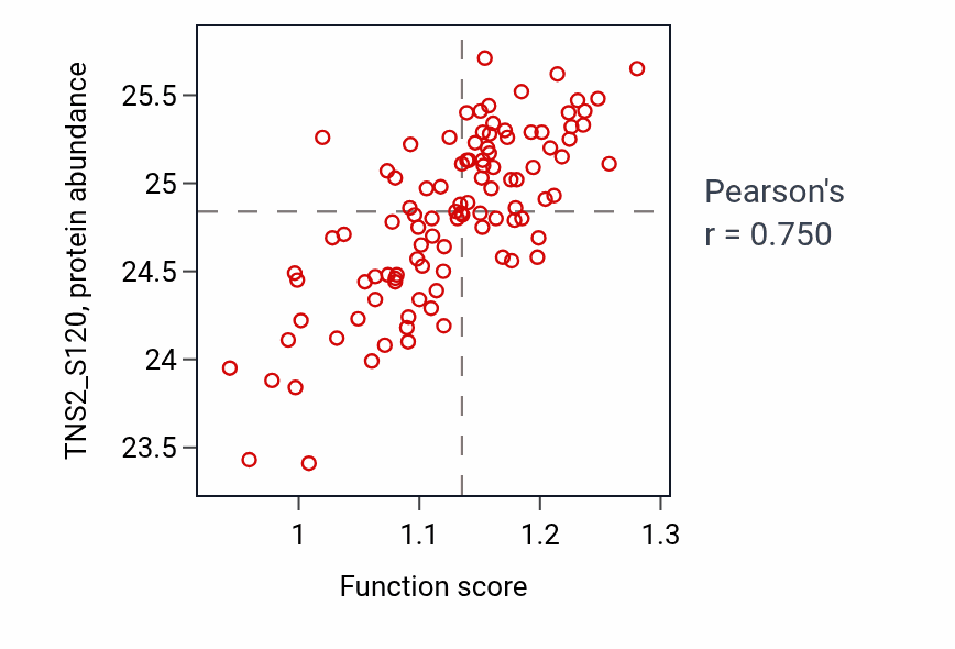 Per-sample scatter of Regulation of vascular permeability activity vs TNS2_S120 in CCRCC.