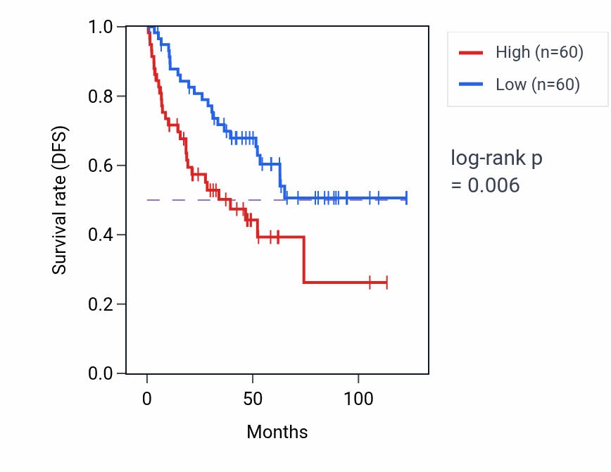Kaplan&ndash;Meier survival curve for sno(s)RNA processing pathway activity in KIRC: high vs low activity groups.