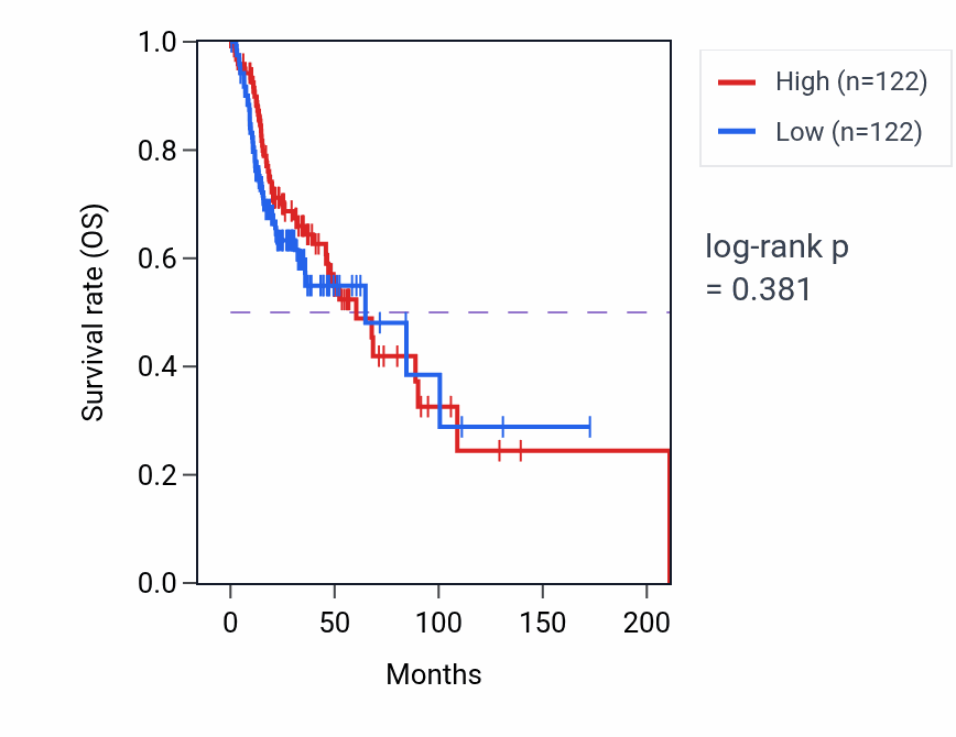 Kaplan&ndash;Meier survival curve for Anoikis pathway activity in HNSC.