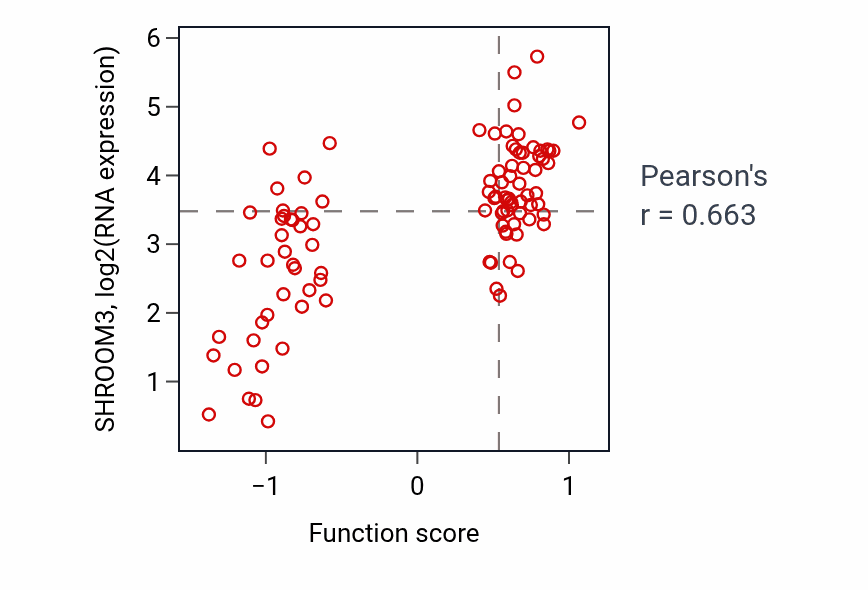Per-sample scatter of Pigment accumulation activity vs SHROOM3 in GBM.