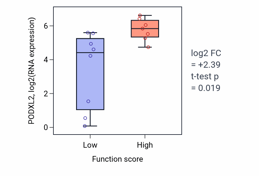 Box plot of PODXL2 in Regulation of muscle adaptation-low vs -high samples in BONE.