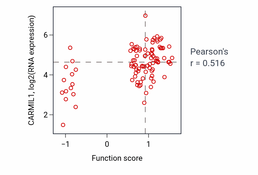 Per-sample scatter of Macropinocytosis activity vs CARMIL1 in GBM.
