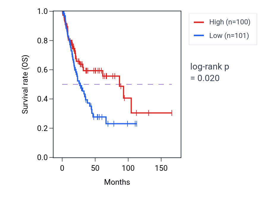 Kaplan&ndash;Meier survival curve for Regulation of mitochondrial mRNA stability pathway activity in BLCA: high vs low activity groups.