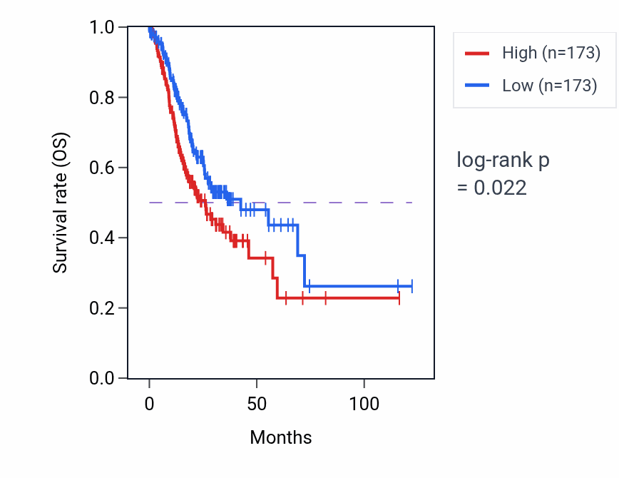 Kaplan&ndash;Meier survival curve for Protein localization to plasma membrane raft pathway activity in STAD: high vs low activity groups.