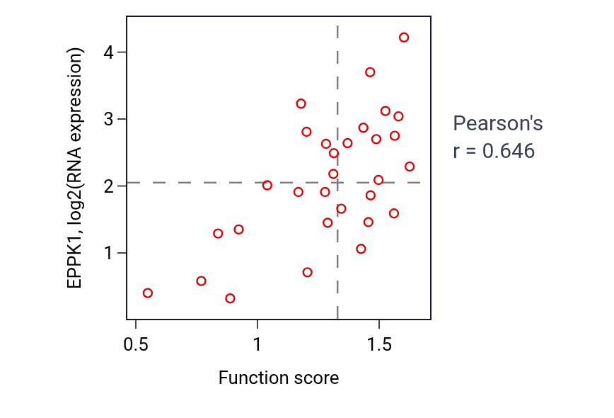 Per-sample scatter of Intermediate filament bundle assembly activity vs EPPK1 in LARGE_INTESTINE.