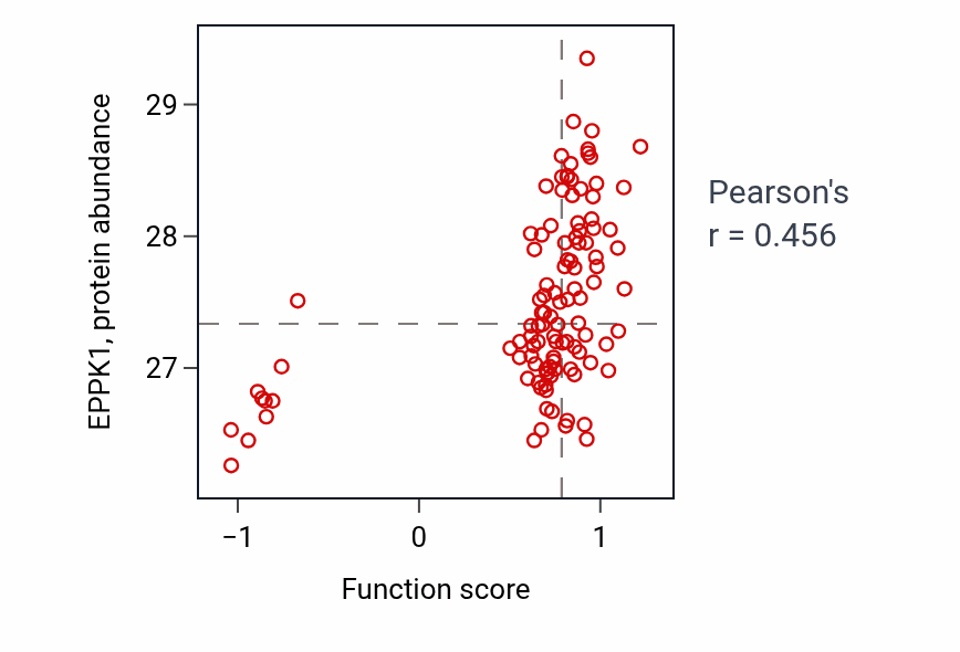 Per-sample scatter of Intermediate filament bundle assembly activity vs EPPK1 in LUAD.