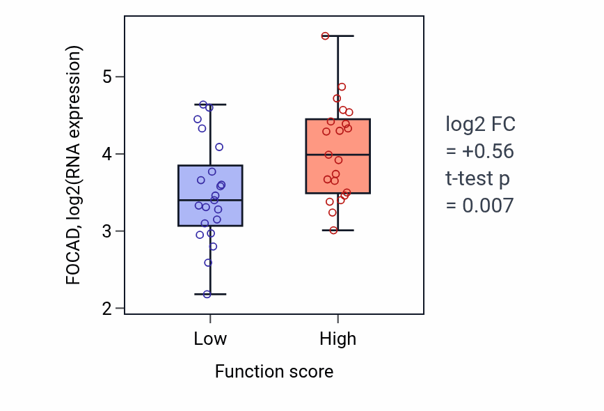 Box plot of FOCAD in Positive regulation of endothelial cell differentiation-low vs -high samples in LARGE_INTESTINE.