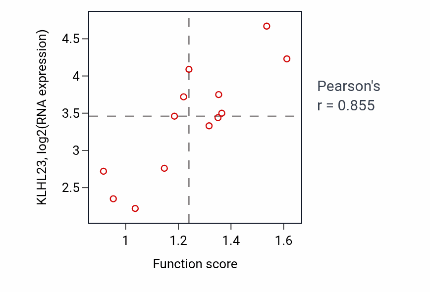 Per-sample scatter of Positive regulation of sister chromatid cohesion activity vs KLHL23 in LUNG_NSCLC_LUSC.