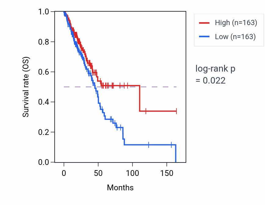 Kaplan&ndash;Meier survival curve for Negative regulation of smooth muscle contraction pathway activity in LUAD: high vs low activity groups.