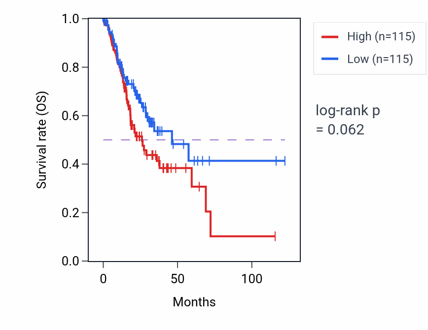 Kaplan&ndash;Meier survival curve for Negative regulation of striated muscle contraction pathway activity in STAD: high vs low activity groups.