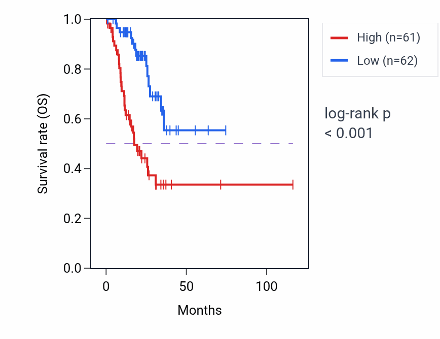Kaplan&ndash;Meier survival curve for CGMP catabolic process pathway activity in STAD: high vs low activity groups.