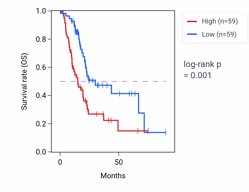 Kaplan&ndash;Meier survival curve for DUMP metabolic process pathway activity in PAAD: high vs low activity groups.