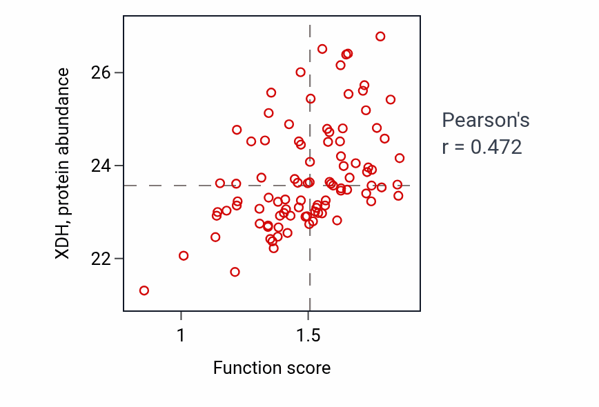 Per-sample scatter of Purine deoxyribonucleoside metabolic process activity vs XDH in UCEC.
