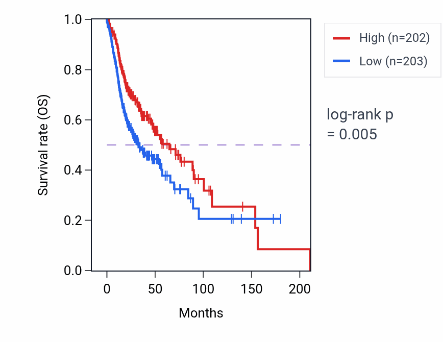 Kaplan&ndash;Meier survival curve for Regulation of JNK cascade pathway activity in HNSC: high vs low activity groups.