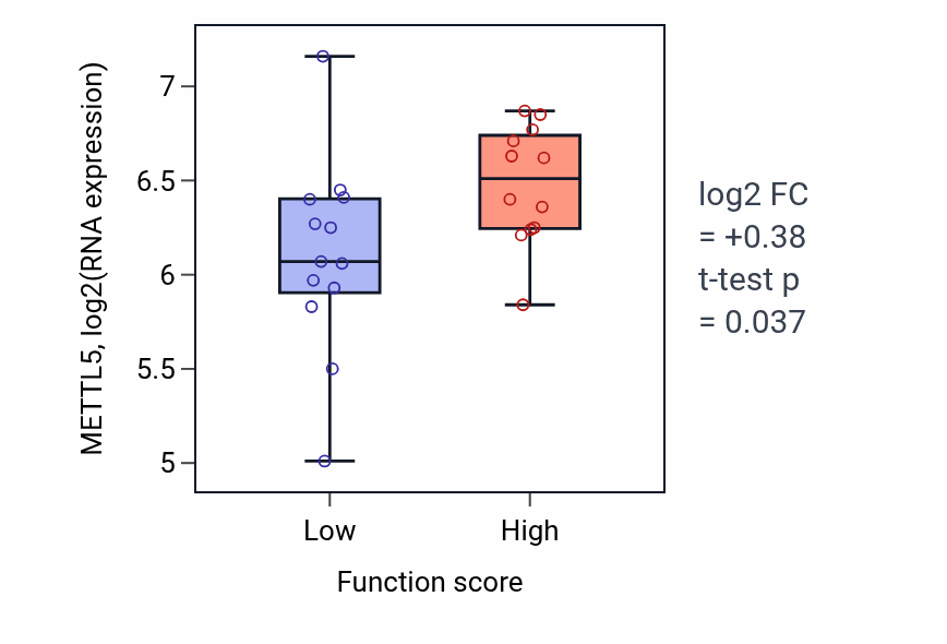 Box plot of METTL5 in Retinal rod cell development-low vs -high samples in LUNG_SCLC.