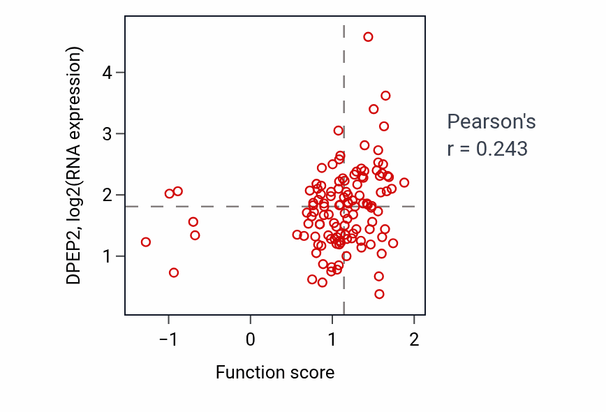 Per-sample scatter of Muscle cell cellular homeostasis activity vs DPEP2 in BRCA.
