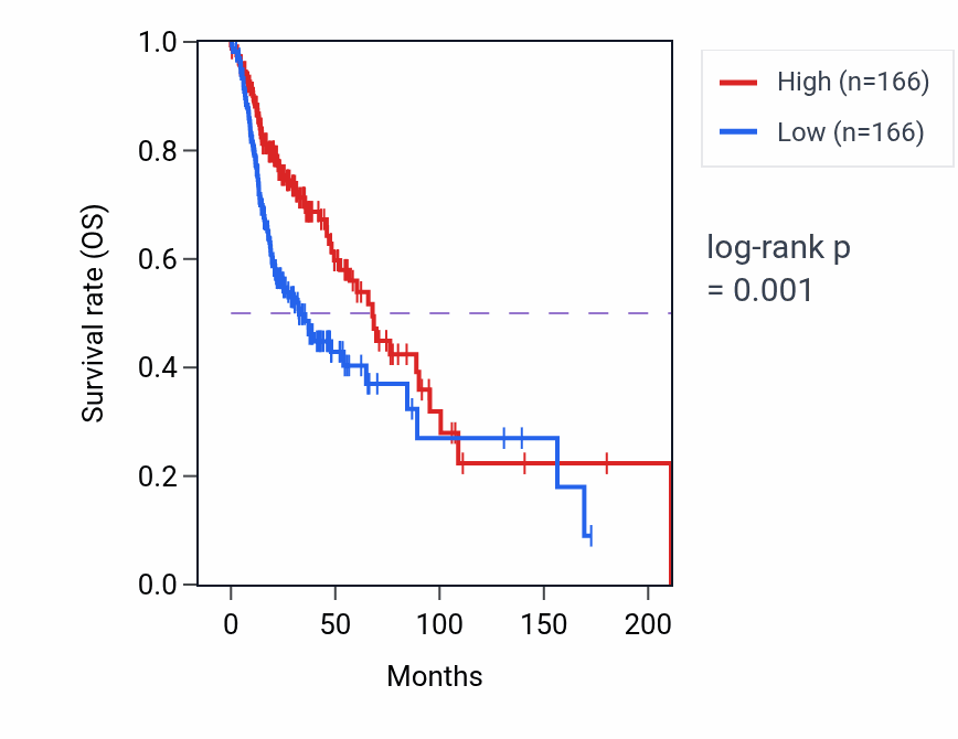 Kaplan&ndash;Meier survival curve for Regulation of mitochondrial membrane permeability pathway activity in HNSC: high vs low activity groups.