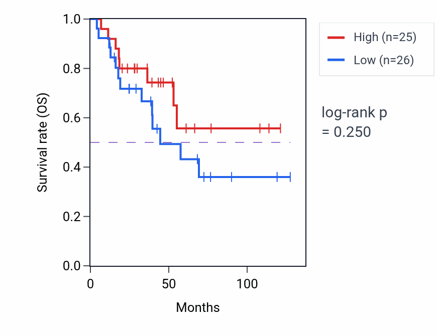 Kaplan&ndash;Meier survival curve for Cell maturation pathway activity in ACC: high vs low activity groups.