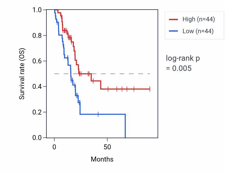 Kaplan&ndash;Meier survival curve for Synaptic vesicle membrane organization pathway activity in PAAD.