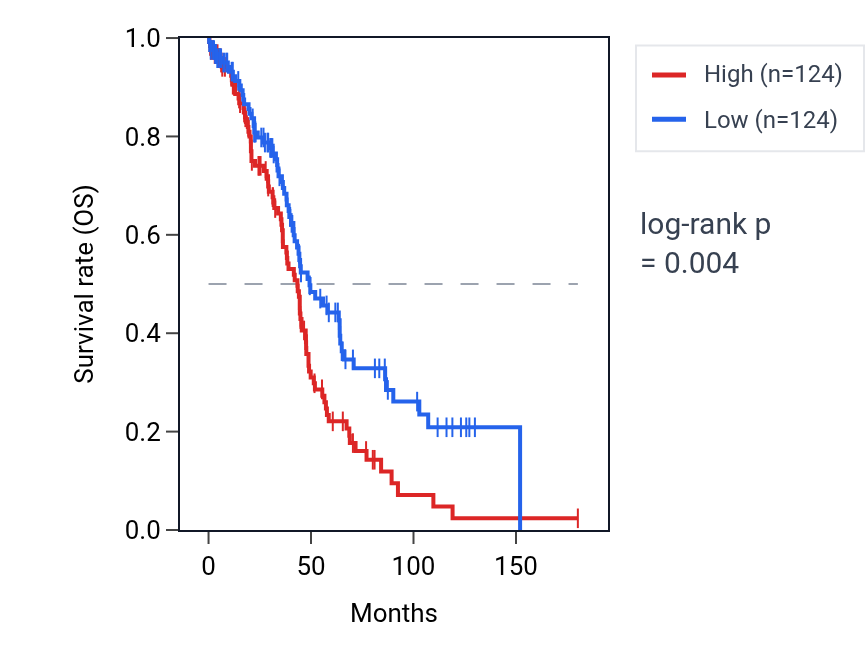 Kaplan&ndash;Meier survival curve for Positive regulation of behavior pathway activity in OV: high vs low activity groups.