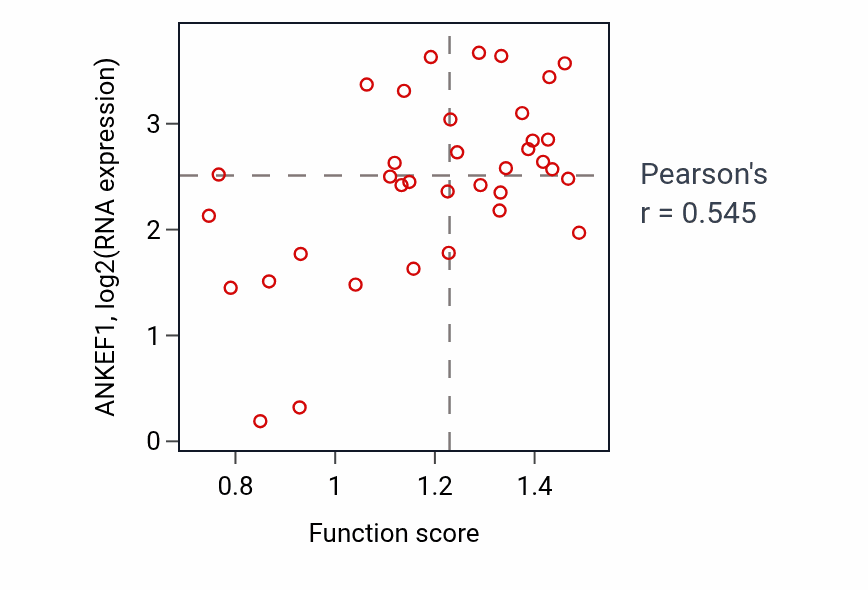 Per-sample scatter of Regulation of skeletal muscle tissue development activity vs ANKEF1 in LARGE_INTESTINE.