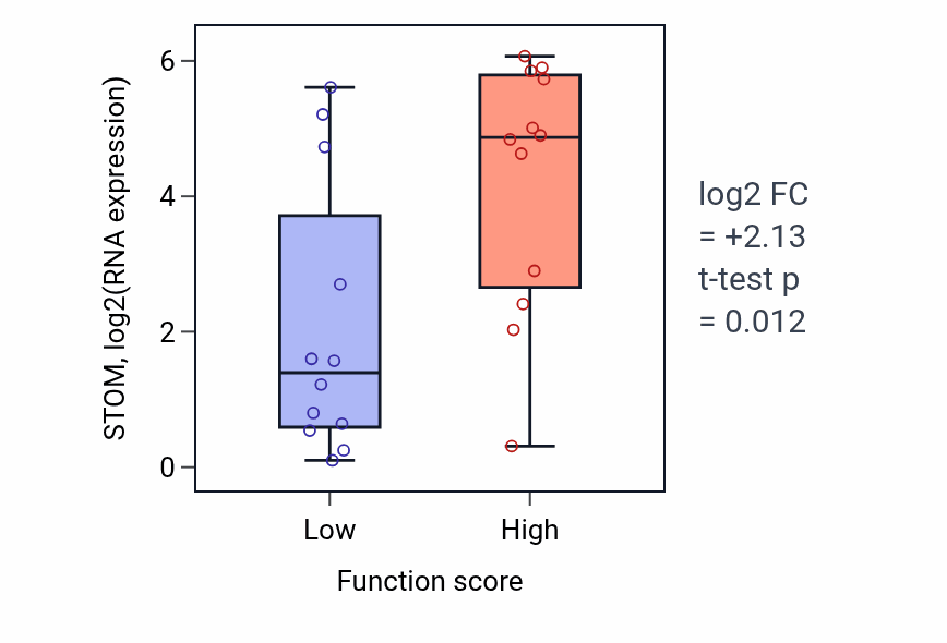 Box plot of STOM in Smooth muscle cell proliferation-low vs -high samples in STOMACH.