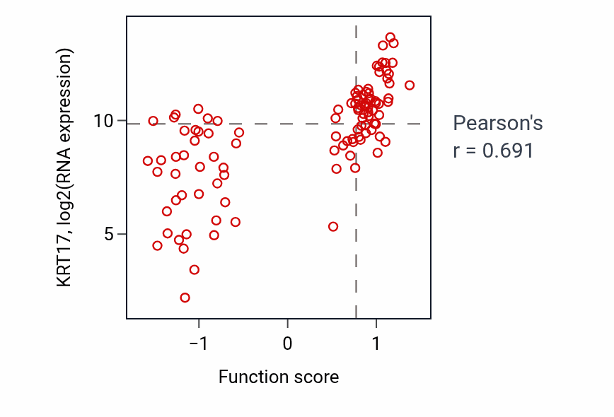 Per-sample scatter of Epidermis morphogenesis activity vs KRT17 in LSCC.