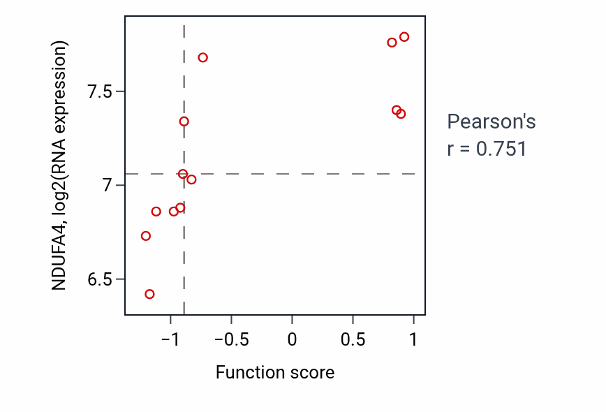 Per-sample scatter of Pigment granule maturation activity vs NDUFA4 in LUNG_NSCLC_LUSC.