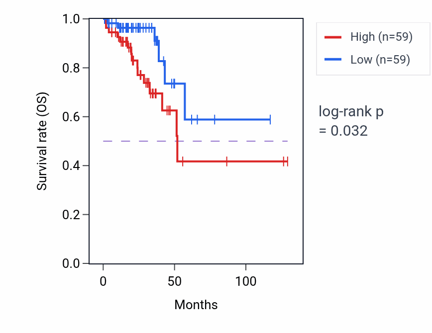 Kaplan&ndash;Meier survival curve for Arachidonic acid secretion pathway activity in READ: high vs low activity groups.