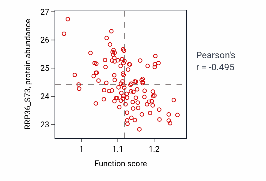 Per-sample scatter of Dermatan sulfate proteoglycan metabolic process activity vs RRP36_S73 in LSCC.