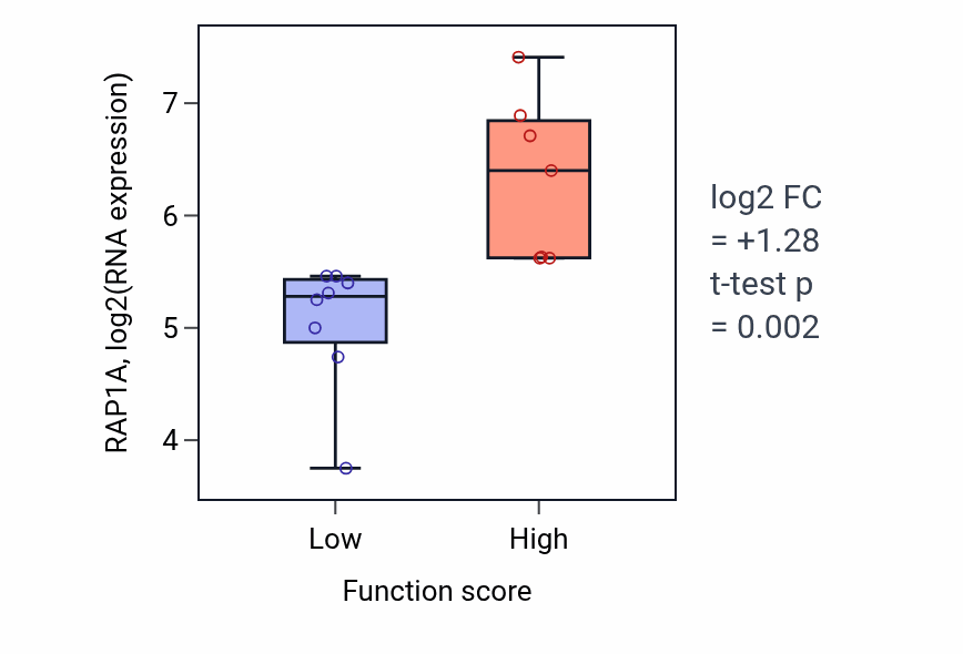 Box plot of RAP1A in Neuromuscular process controlling balance-low vs -high samples in BONE.
