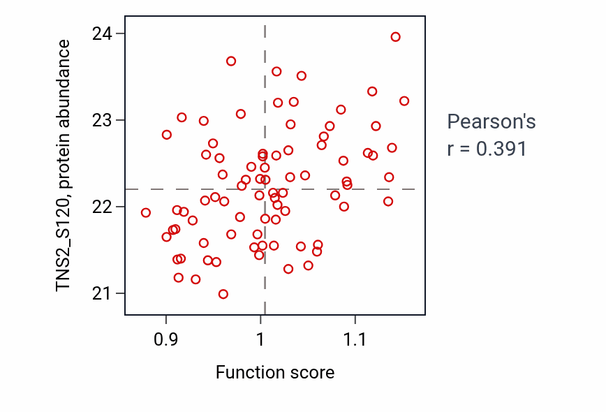 Per-sample scatter of Smooth muscle cell differentiation activity vs TNS2_S120 in OV.