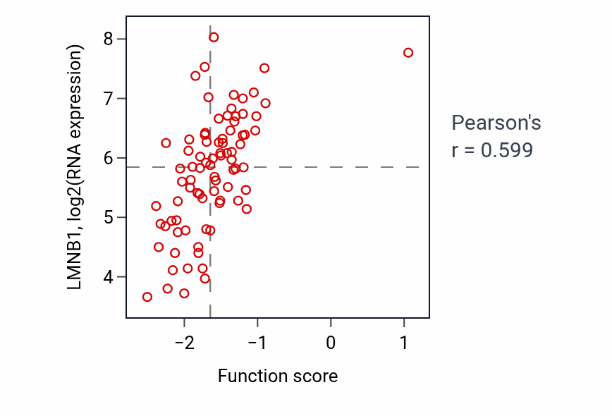 Per-sample scatter of Spindle elongation activity vs LMNB1 in OV.