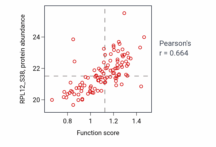 Per-sample scatter of Spindle elongation activity vs RPL12_S38 in LUAD.