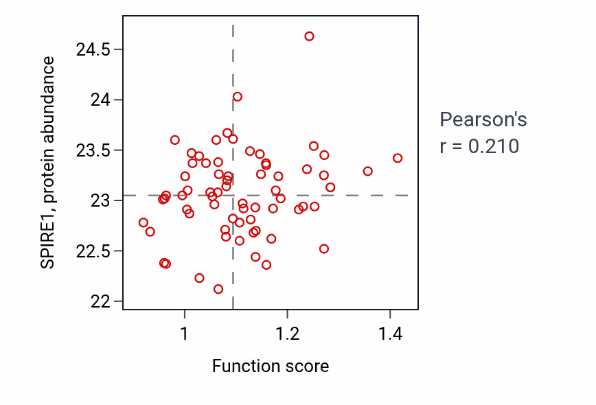 Per-sample scatter of Establishment of meiotic spindle localization activity vs SPIRE1 in HNSC.