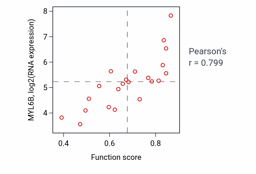 Per-sample scatter of Regulation of cell division activity vs MYL6B in STOMACH.