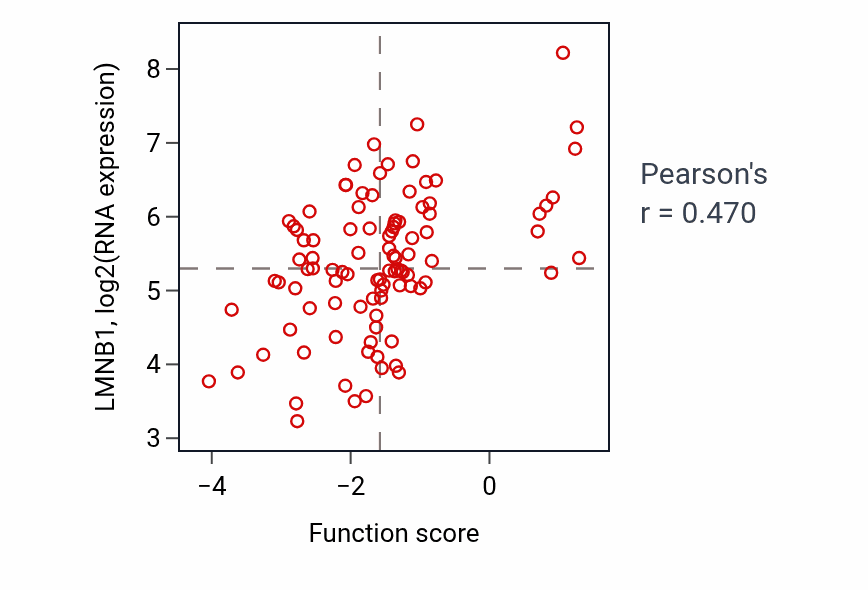 Per-sample scatter of Kinetochore organization activity vs LMNB1 in GBM.