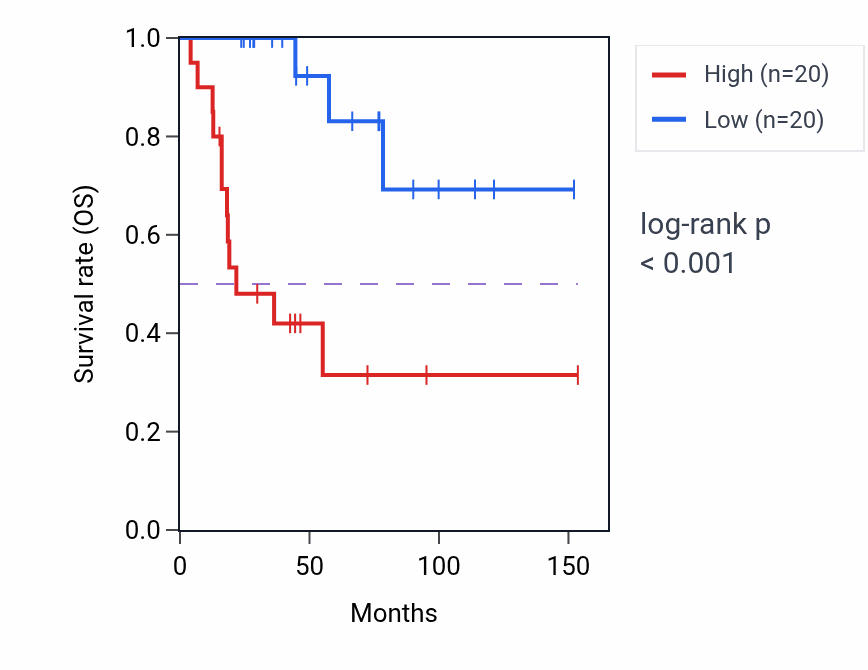 Kaplan&ndash;Meier survival curve for Positive regulation of stress fiber assembly pathway activity in ACC.