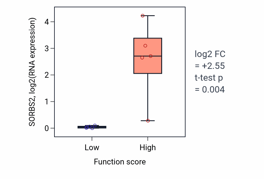 Box plot of SORBS2 in Keratinocyte migration-low vs -high samples in BONE.