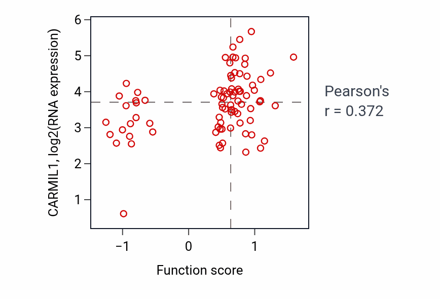 Per-sample scatter of Actin filament network formation activity vs CARMIL1 in OV.