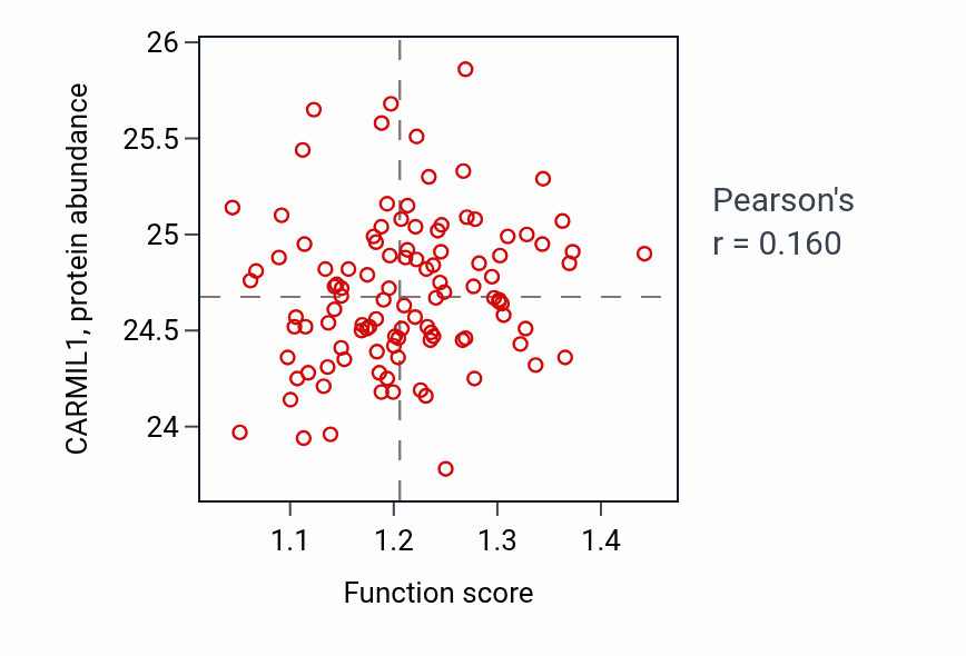 Per-sample scatter of Actin filament network formation activity vs CARMIL1 in LSCC.
