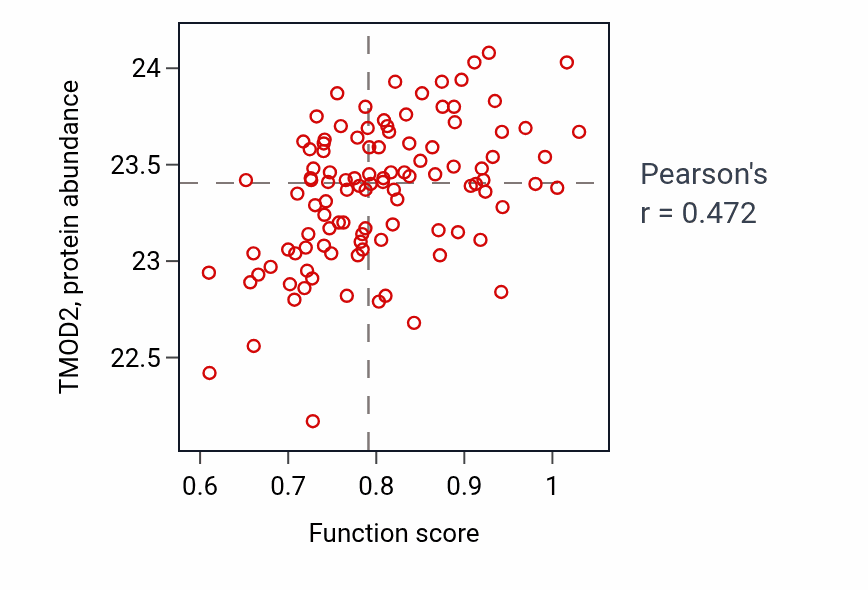 Per-sample scatter of Pointed-end actin filament capping activity vs TMOD2 in LSCC.
