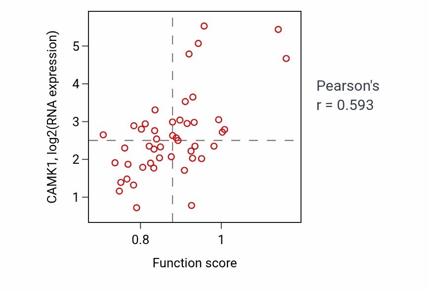 Per-sample scatter of Regulation of synapse structural plasticity activity vs CAMK1 in DLBC.
