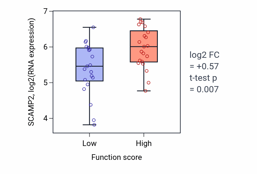 Box plot of SCAMP2 in Negative regulation of amine transport-low vs -high samples in LARGE_INTESTINE.