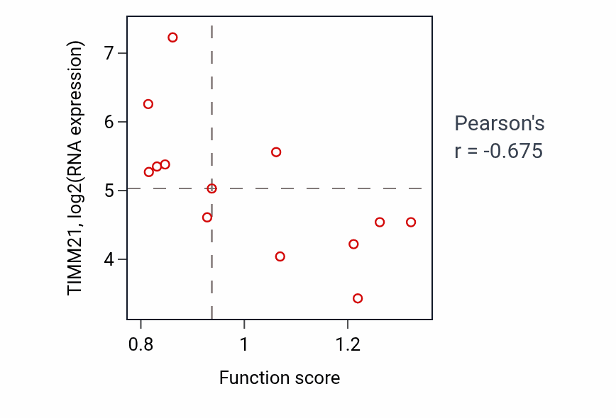 Per-sample scatter of Positive regulation of amine transport activity vs TIMM21 in LUNG_NSCLC_LUSC.