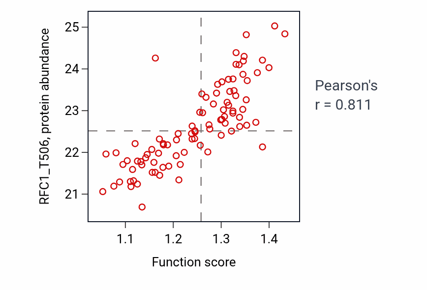 Per-sample scatter of Regulation of chromosome segregation activity vs RFC1_T506 in LUAD.