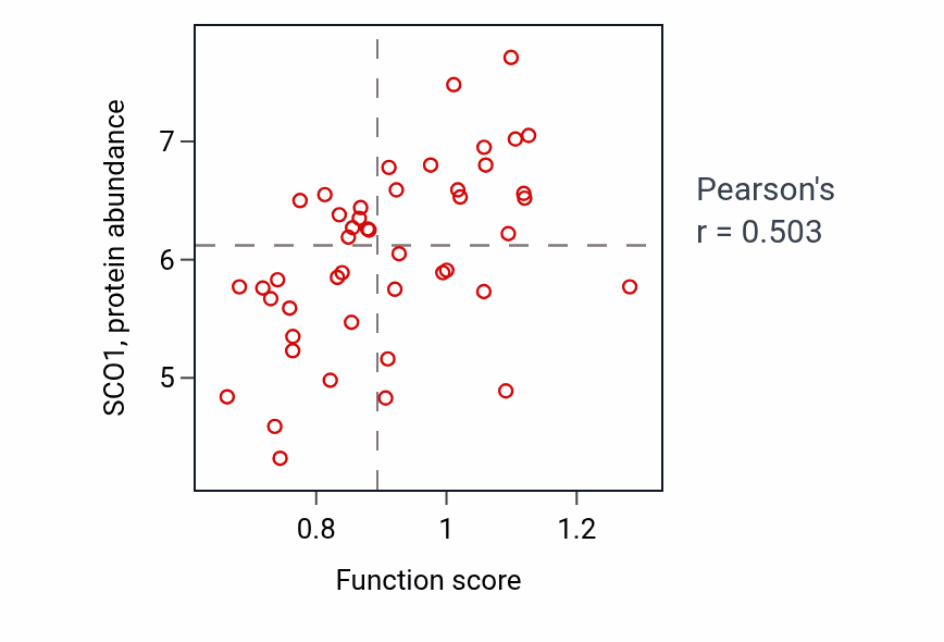 Per-sample scatter of Copper ion homeostasis activity vs SCO1 in LARGE_INTESTINE.