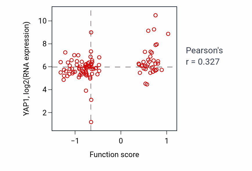 Per-sample scatter of Positive regulation of cardiac muscle cell proliferation activity vs YAP1 in HNSC.